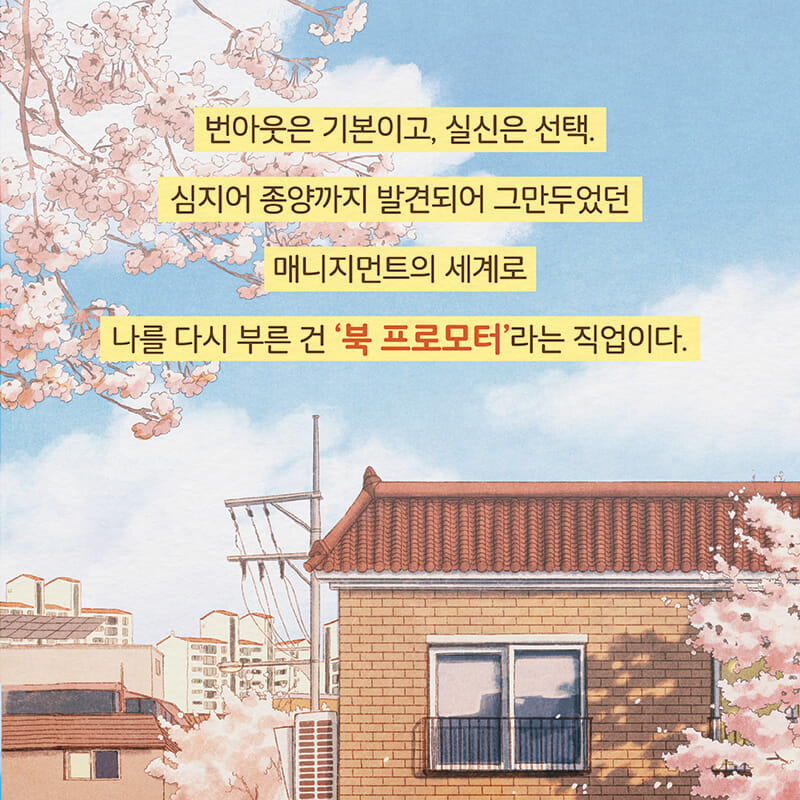 카드뉴스