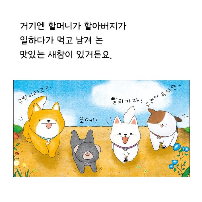 카드뉴스5