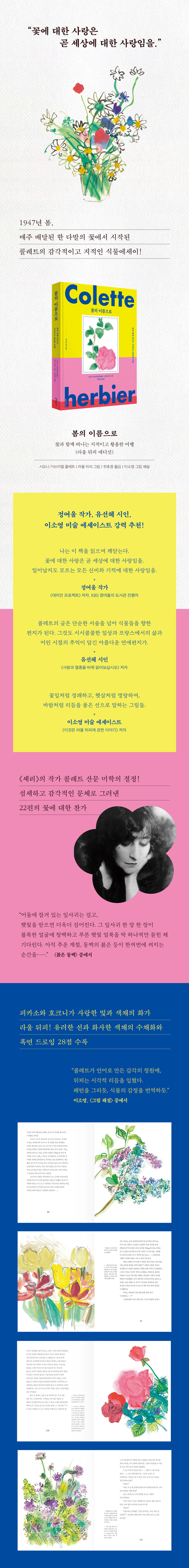 상세 이미지