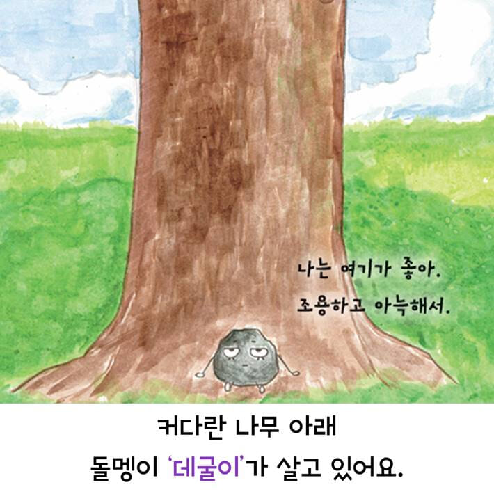 카드뉴스2