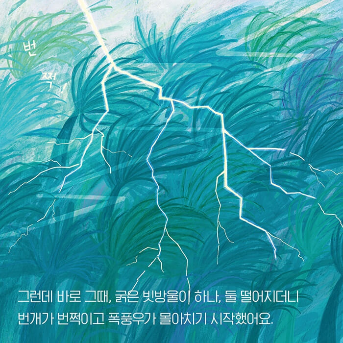 카드뉴스6