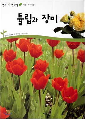 튤립과 장미 (식물 속씨식물)