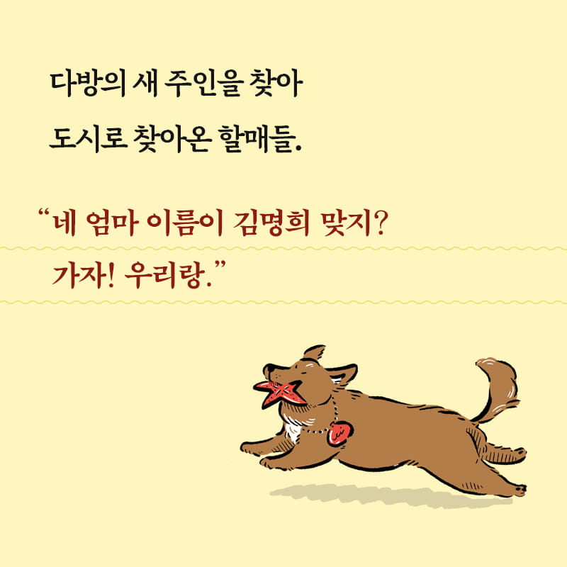 카드뉴스