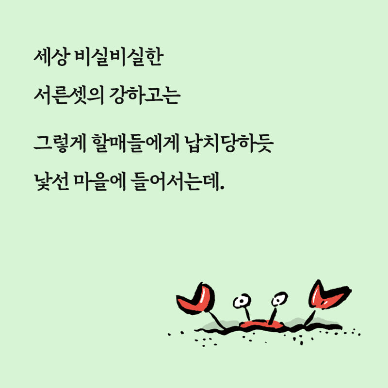 카드뉴스