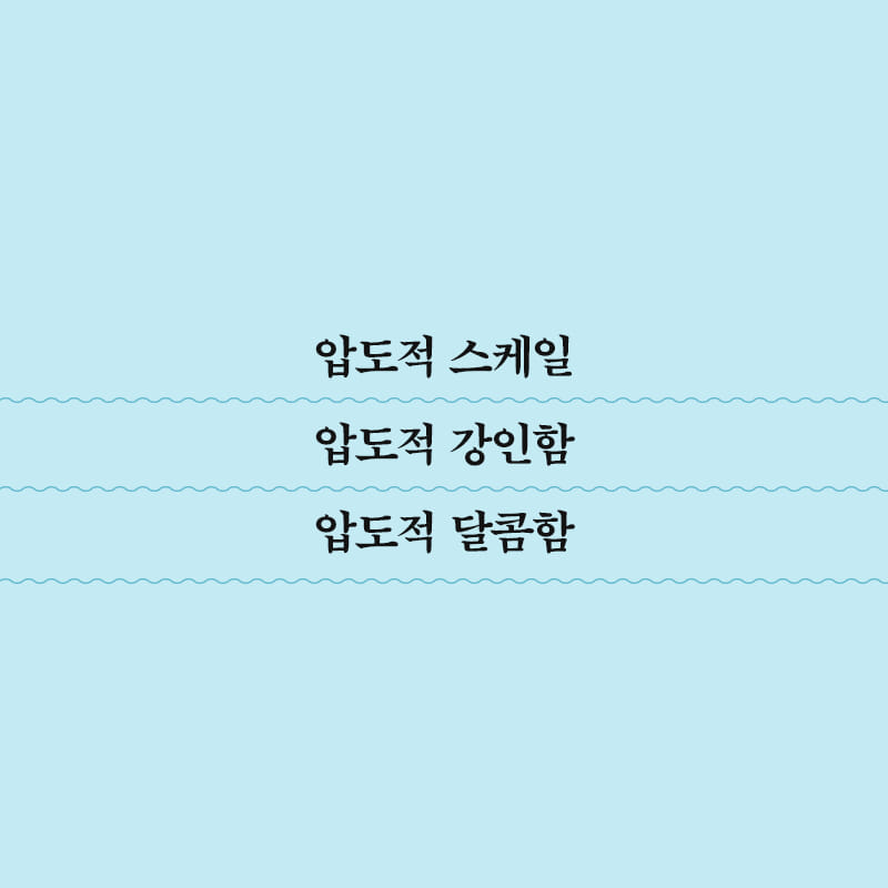 카드뉴스