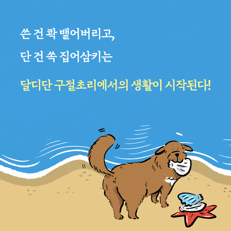 카드뉴스