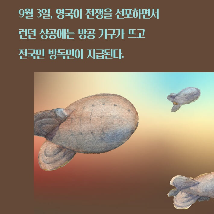 카드뉴스3