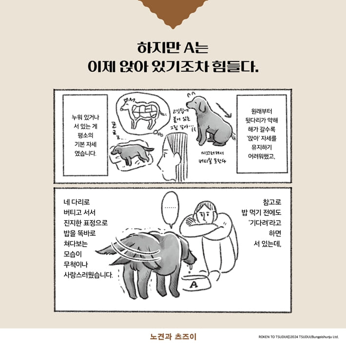 카드뉴스3