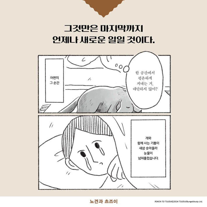 카드뉴스9
