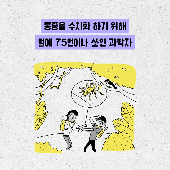 카드뉴스7