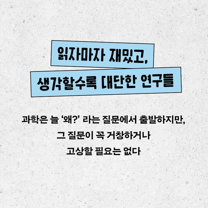 카드뉴스9