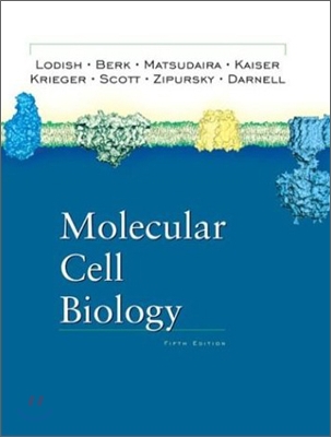 Molecular Cell Biology 5/E & Student CD-ROM