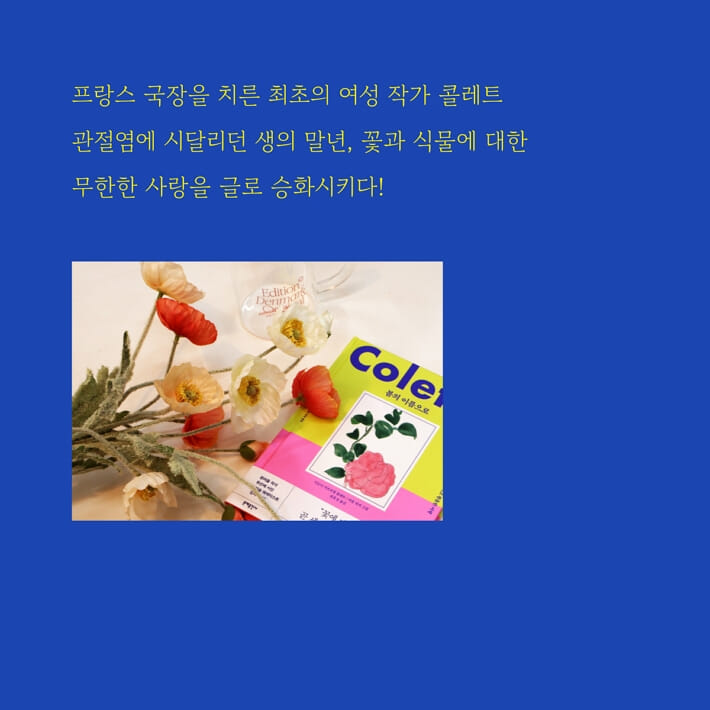 카드뉴스5