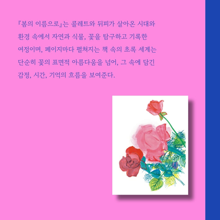 카드뉴스8