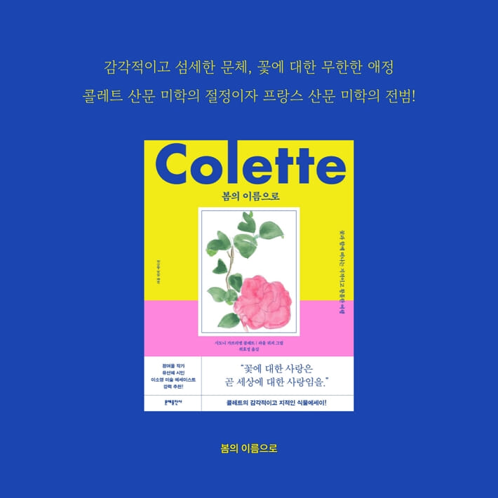 카드뉴스9