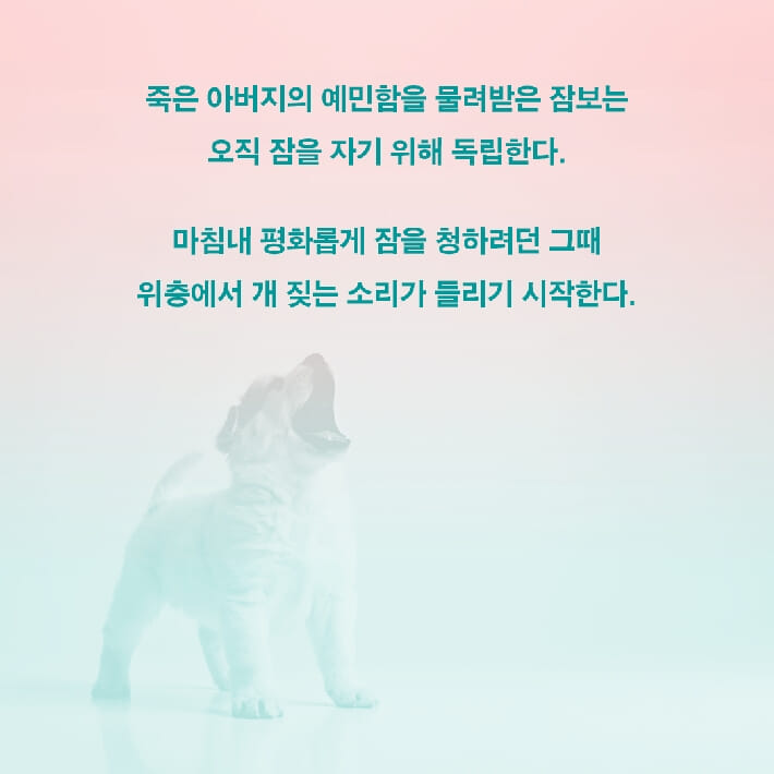 카드뉴스3