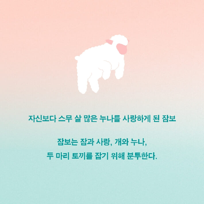 카드뉴스7