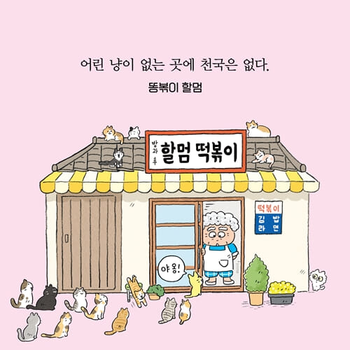 카드뉴스2