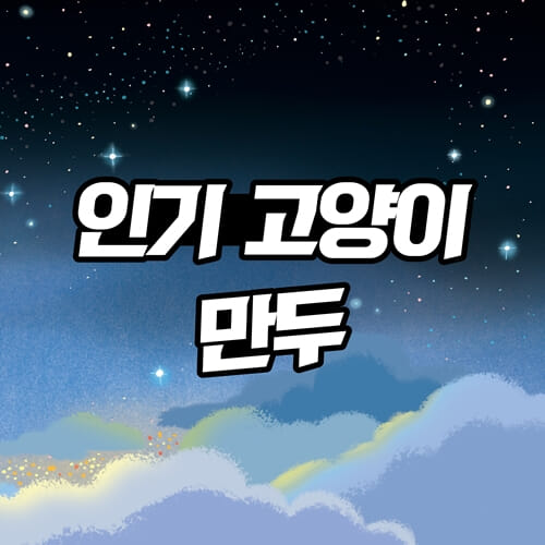 카드뉴스4
