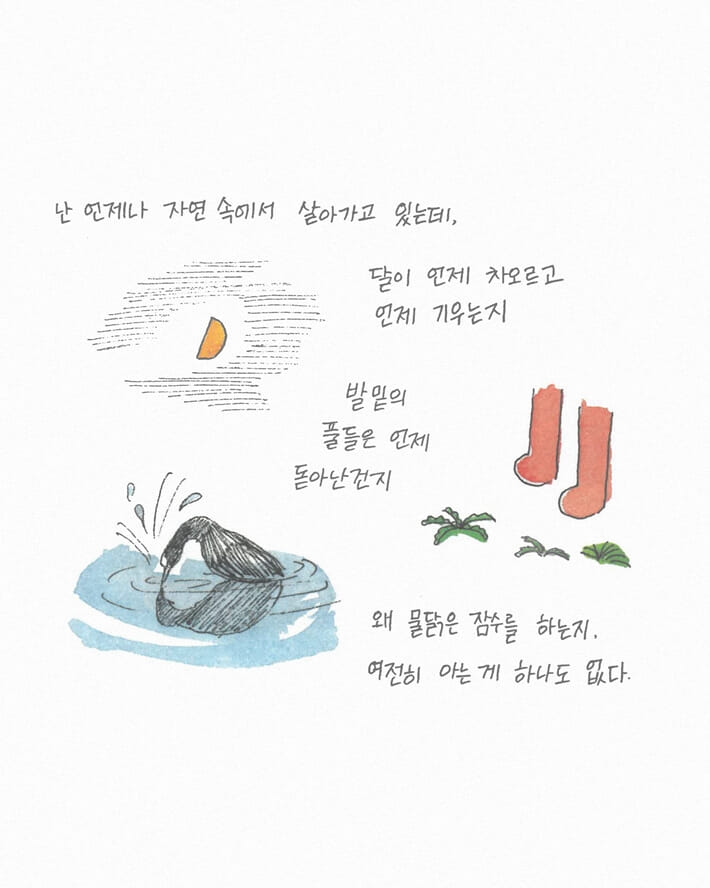 카드뉴스4