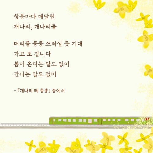 카드뉴스3