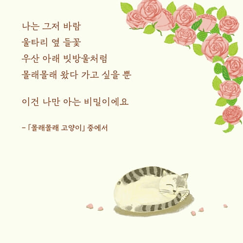 카드뉴스4