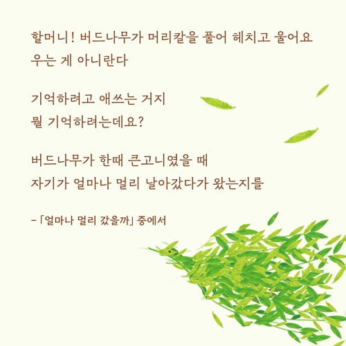 카드뉴스6