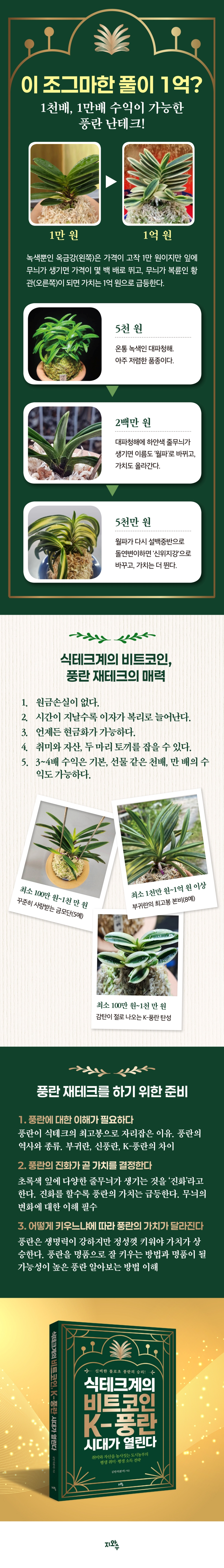 식테크계의 비트코인, K-풍란 시대가 열린다 | 김민석(본비) | 지와수 - 예스24