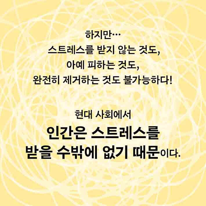 카드뉴스2
