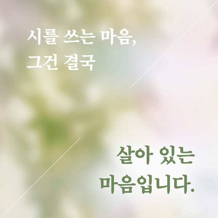 카드뉴스9