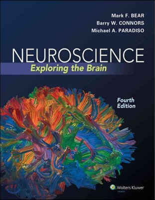 Neuroscience: Exploring the Brain (Hardcover, 4)