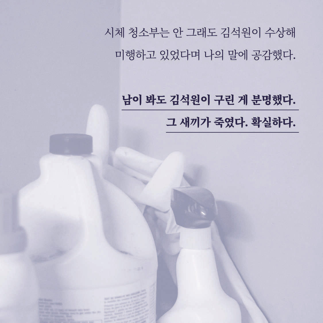카드뉴스
