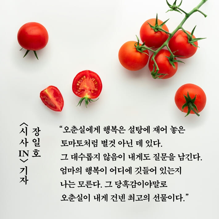 카드뉴스11