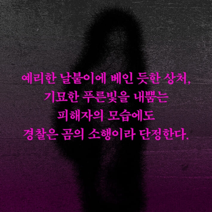 카드뉴스4