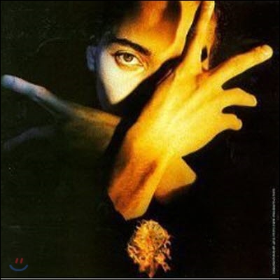 [중고] Terence Trent D&#39;Arby / Neither Fish nor Flesh (수입)