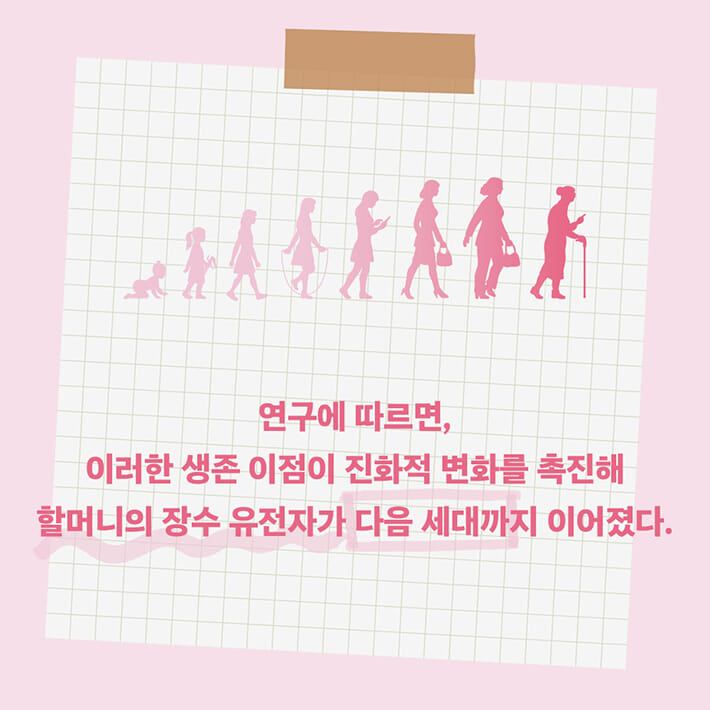 카드뉴스4