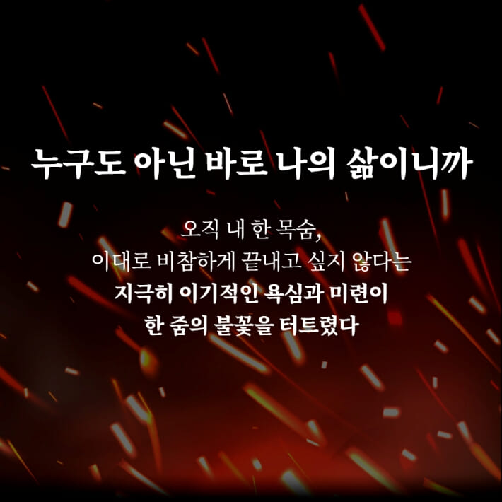 카드뉴스6
