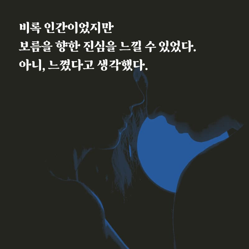 카드뉴스