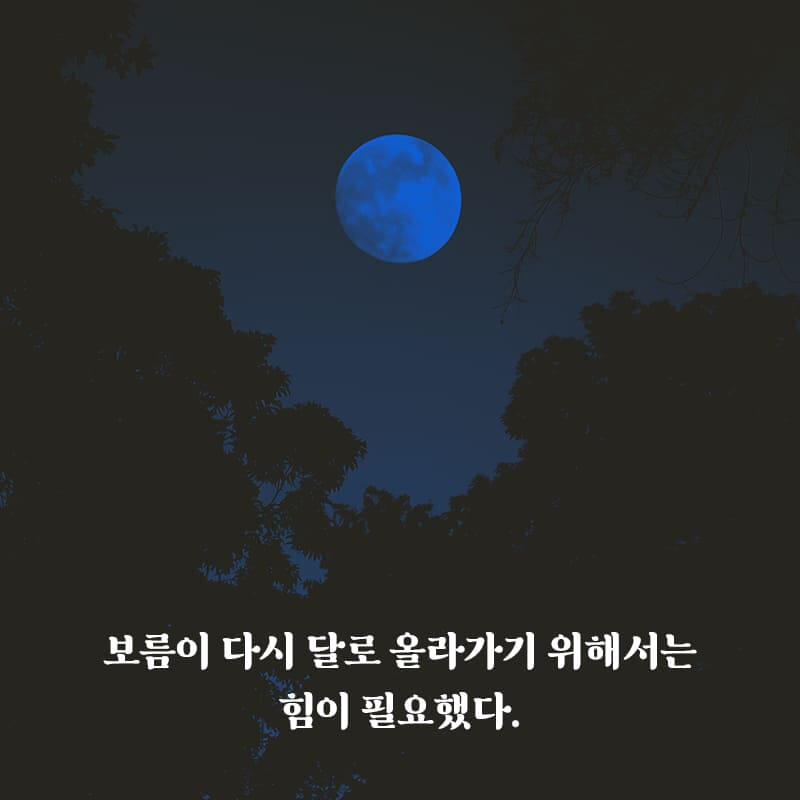 카드뉴스