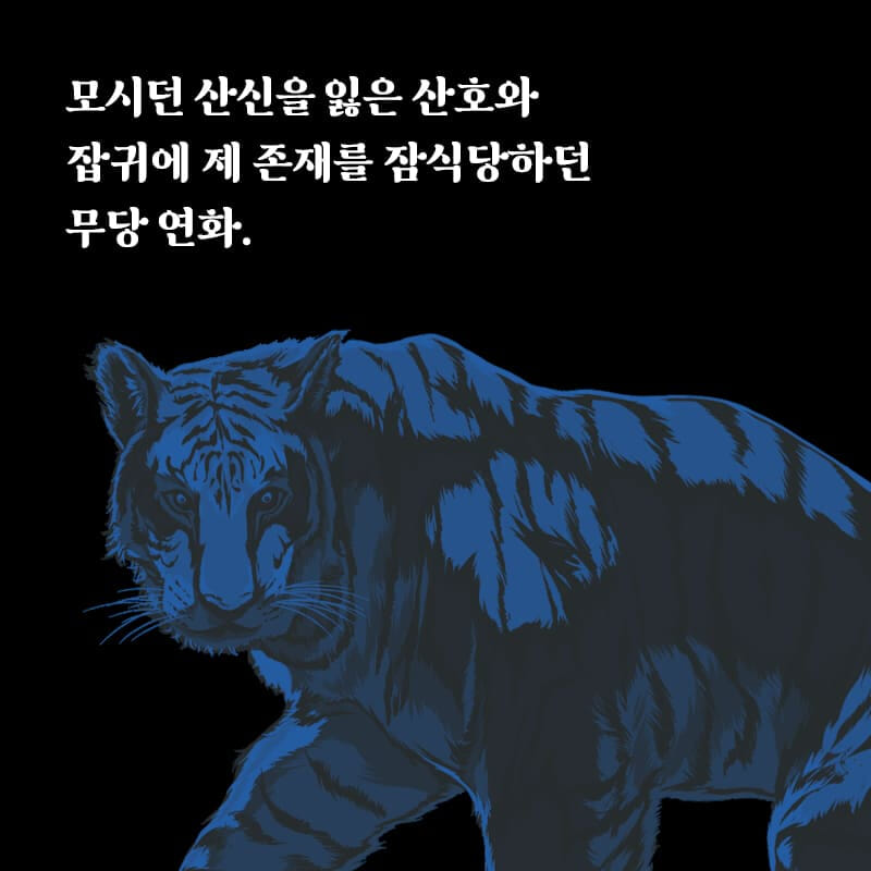 카드뉴스
