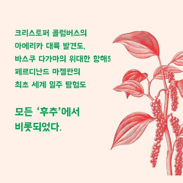 카드뉴스2