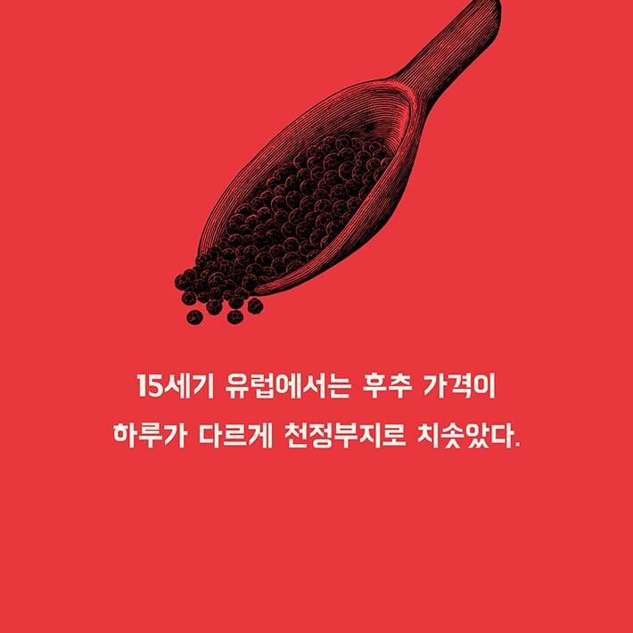 카드뉴스4