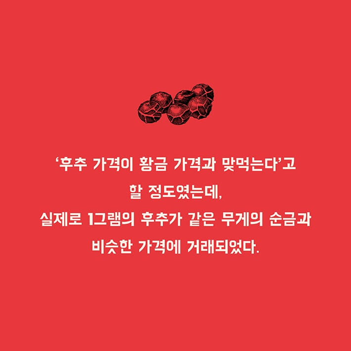 카드뉴스5