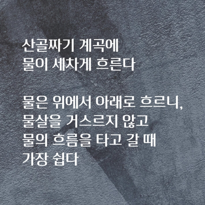 카드뉴스2