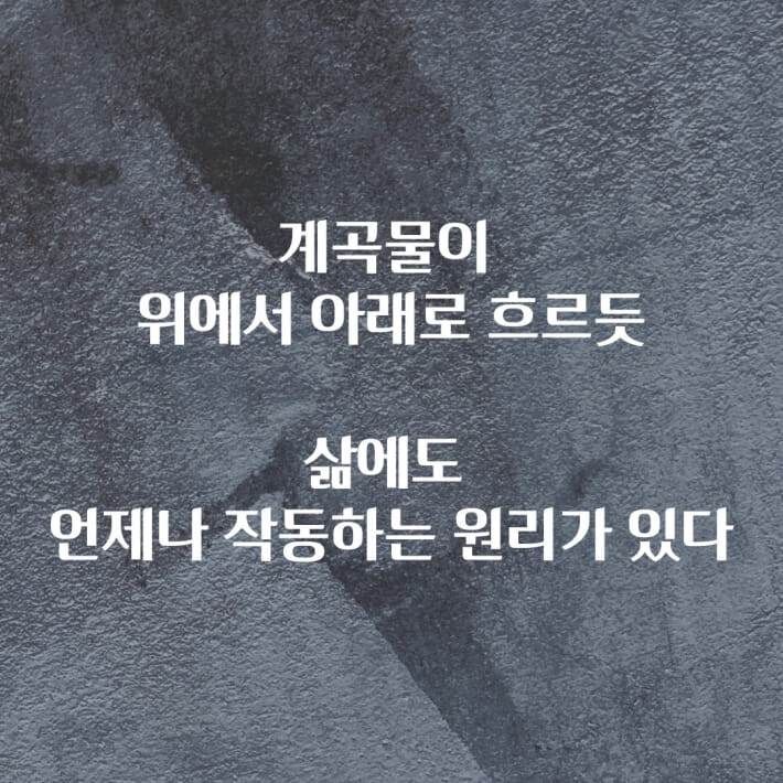 카드뉴스3