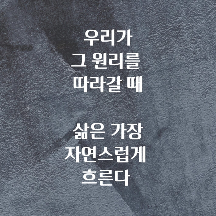 카드뉴스4
