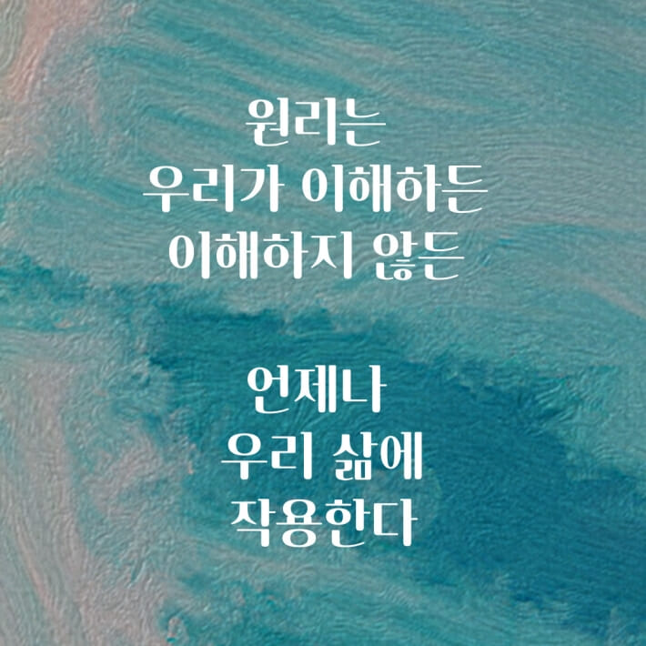 카드뉴스7