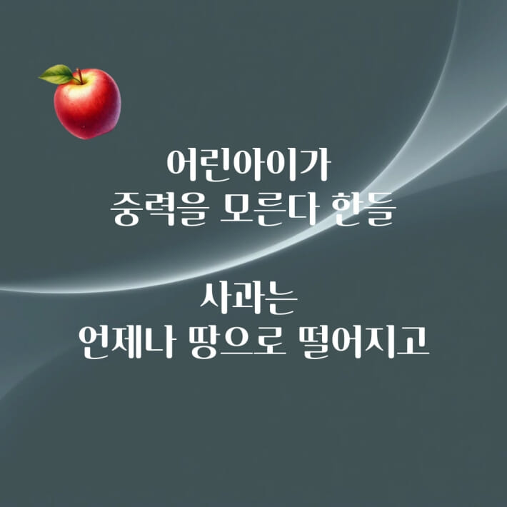 카드뉴스8