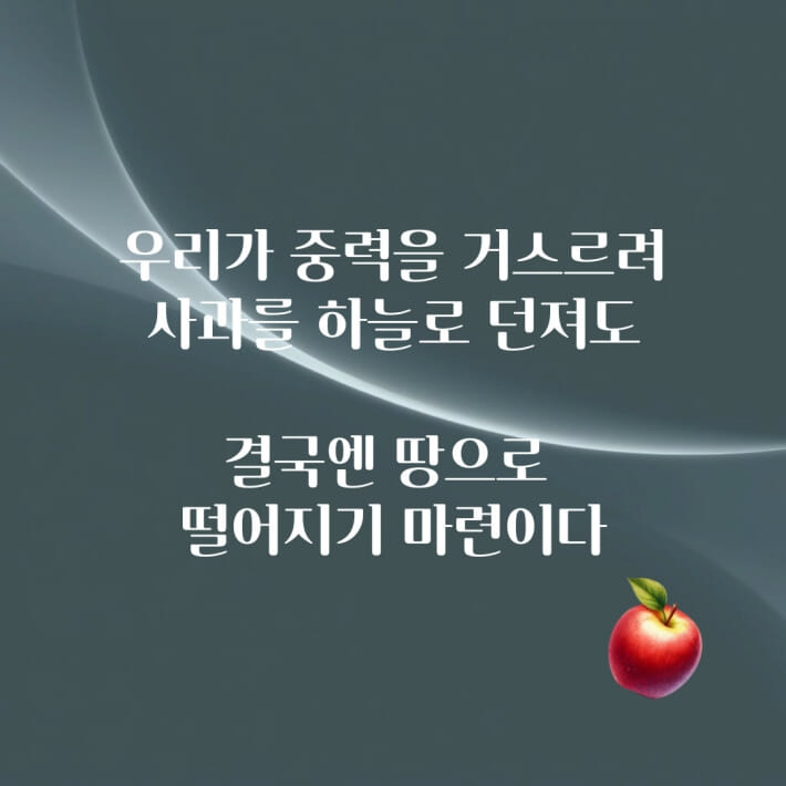 카드뉴스9