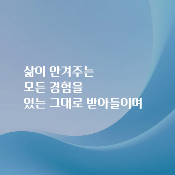 카드뉴스16